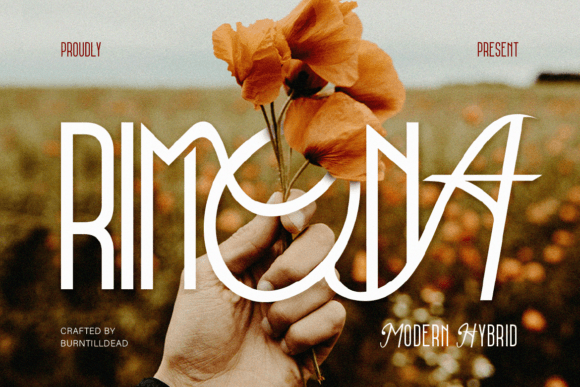 Rimona Font: Elegant Hybrid Typography for Web Design